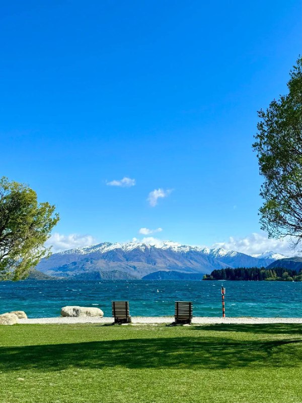 爱尔兰 vs 新西兰对比两国在历史、语言和人口等方面相似，但在移民政策、生活和发展前景上存在较大差异